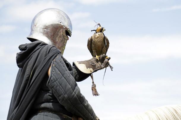 Person wearing a medieval helmet and carrying a peregrine falcon, getting ready to practice the ancient sport of falconry. (Raquel Pedrosa / Adobe Stock)