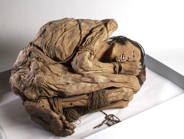 A mummified Peruvian male, who was buried in a bundle. Wellcome Images/Wikimedia, CC BY