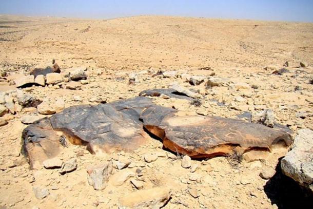 Petroglyphs in the Negev desert. (Igor Svobodin/Flickr)