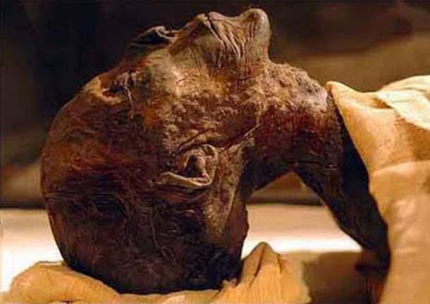Remains of Pharaoh Queen Hatshepsut Identified (28/05/07): A DNA test of a single tooth was key to solving one of the greatest mysteries of ancient Egypt. 