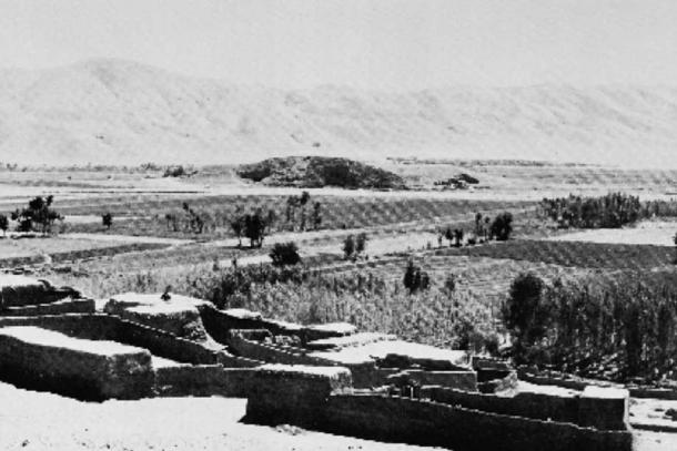 Photo of Godin Tepe at the beginning of excavations in 1965.