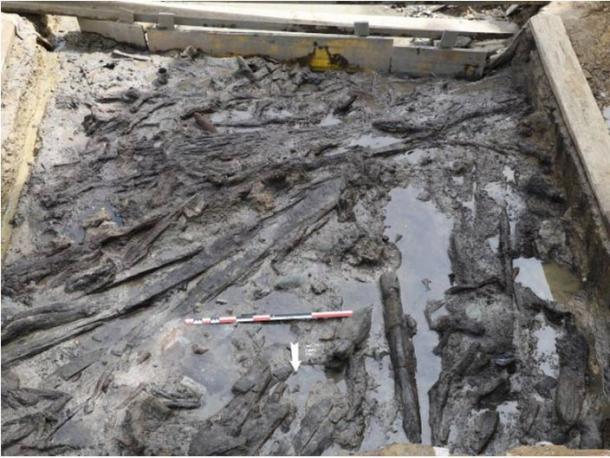 Photograph excavation at the Draga site (Banyoles). (Archaeology Museum of Catalonia)