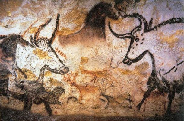 Photograph of Lascaux cave animal painting. 