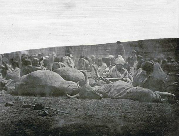 Photograph of a Toda 'green funeral' in the Nilgiri Hills in Tamil Nadu, taken by an unknown photographer from the Madras School of Arts in c. 1871-72. 