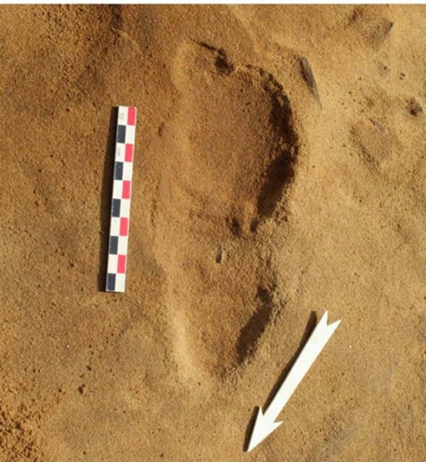 Photograph of the broad fossilized footprints found at Le Rozel. (Photo: Dominique Cliquet/Haaretz)