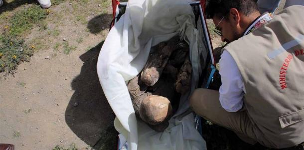 Photograph from the Ministry of Culture, which shows a pre-Hispanic mummy found inside the backpack of a delivery man. (EFE/Ministerio de Cultura)