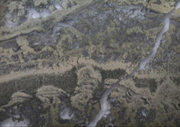 Photomicrograph of pyritized stromatolites containing microbial remains from the 3.5 billion-year-old Dresser Formation. The stromatolites are delineated by pyrite, also known as fool's gold. (UNSW)