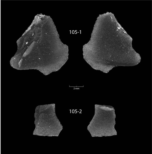 Fotomicrografías de las dos lascas de obsidiana encontradas bajo el lago Huron en un campo oscuro para resaltar la modificación de las lascas. (MÁS UNO)