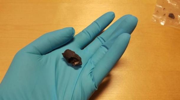 Piece of birch bark chewing gum containing oldest Scandinavian DNA