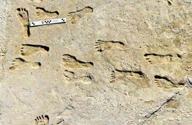 The ancient New Mexico footprints found at White Sands National Park, which could be dated because the footprints were embedded with native plant seeds. (Bennett et al. / Science)