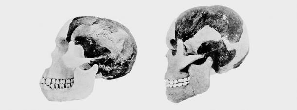 Two scientists involved in the Piltdown Man case attempted to reconstruct Piltdown man’s cranium and mandible. 
