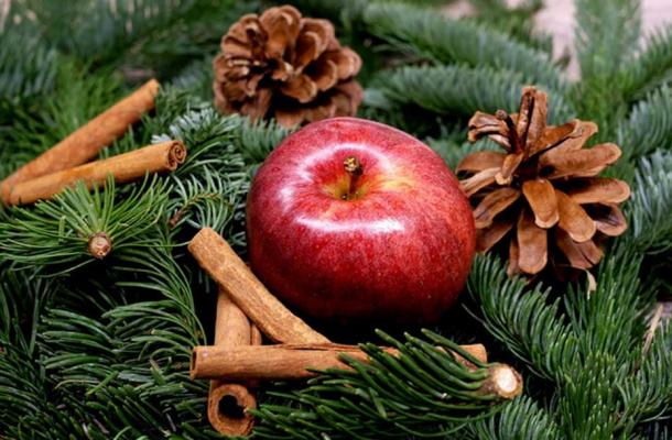 Pine trees were decorated with apples to symbolize the Tree of Life in the Garden of Eden