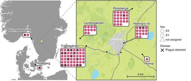 Plague spread in Neolithic Scandinavia. Each individual in the study is represented by colored shapes. Only Neolithic individuals are show. Squares represent males and circles females; triangles represent a person of unknown sex. Colors indicate genetic ancestry, and black crosses designate individuals with the plague. (Seersholm et al./Nature)