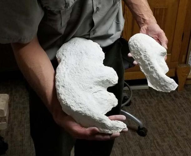 Plaster cast footprints. David Bustos, National Park Service