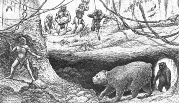 Artist's conception of Pleistocene Vero man and cave bear Arctodus. In Fossil Mammals of Florida by Stanley J. Olsen, Florida Geological Survey Special Publication No. 6, 1959