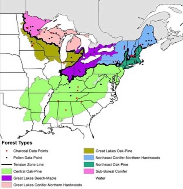 Pollen and tree survey map. (Marc Abrams / Penn State)