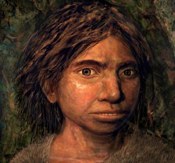 Portrait of a juvenile Denisovan based on a skeletal profile reconstructed from ancient DNA methylation maps. Image credit: Maayan Harel.