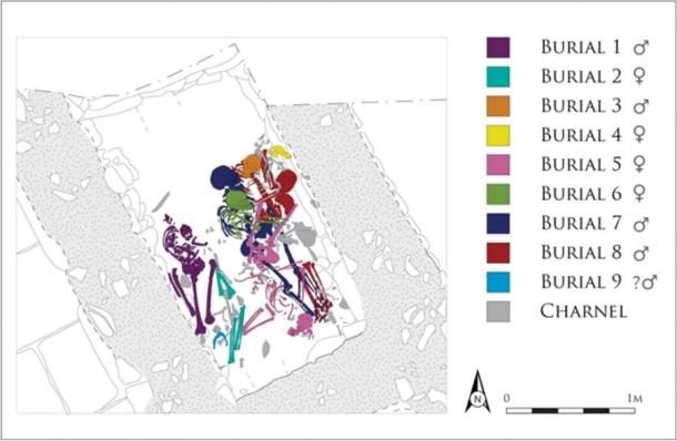 Position of the individual skeletons of the ancient Scots found buried together in the latrine of the Cramond Roman bathhouse but who were born in various locations across Scotland. (City of Edinburgh Council 2014)