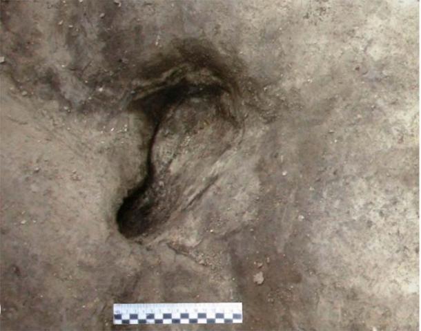 Schöningen 13 II-2 Untere Berme'de keşfedilen potansiyel hominin ayak izi. (©Senckenberg/Tubingen Üniversitesi)