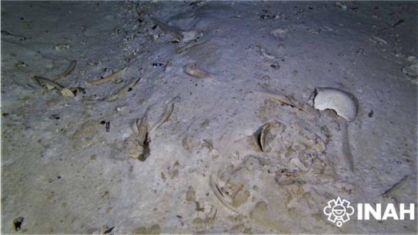 The Pre-Maya human remains were found in a cenote near a section of the Tren Maya route. (Peter Broger/ INAH)