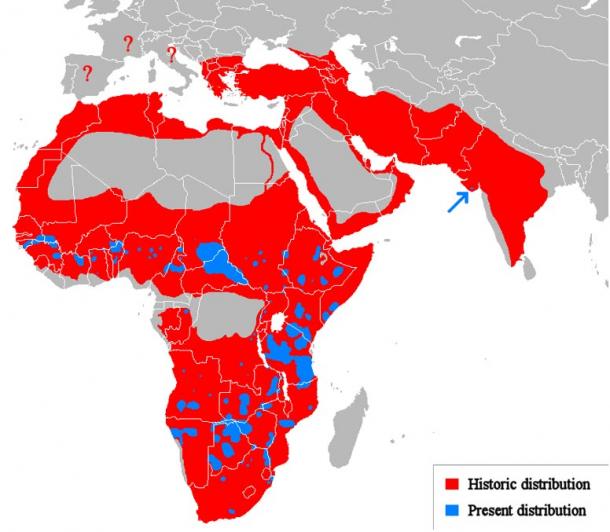 Prehistoric range of the lion in red
