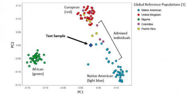 Principal component analysis of the segment from chromosome 10 (genotype) from Bustamante’s report. (DNAeXplained – Genetic Genealogy)