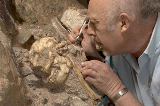 Professor Ron Clarke busy excavating the Little Foot Skull from the Sterkfontein Caves. (Wits University)