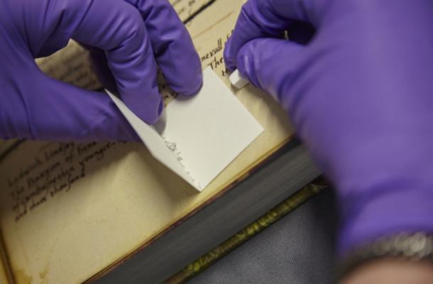 Protein are extracted from the parchment simply by rubbing a PVC eraser on the membrane surface.