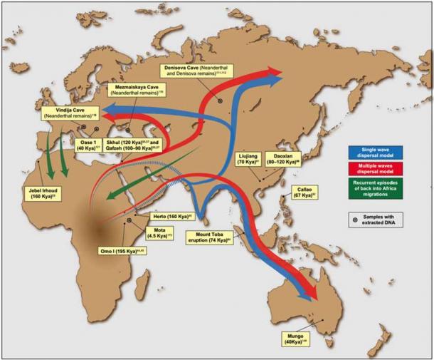 Putative migration waves out of Africa and back migrations into the continent, as well as the locations of major ancient human remains and archeological sites (López et al.2015)(CC BY-SA 3.0)