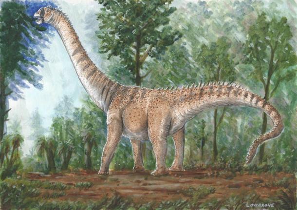 The Qijianglong may have inspired legends of dragons