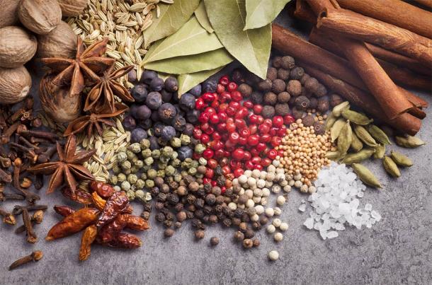 Radhanites transported and traded precious spices, exotic goods, and slaves in the Medieval Period   (janvier / Adobe Stock)