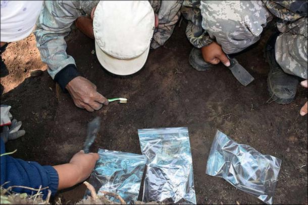 Radiocarbon analysis links the fish supper to the Sumnaginskaya culture and it is believed to be around 8,000 years old. Pictures: Victor Dyakonov