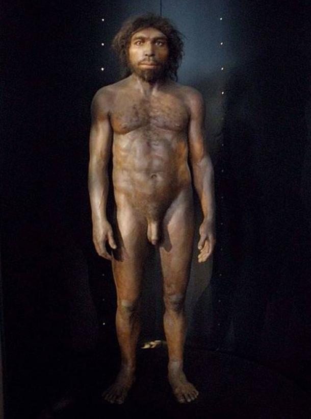 Reconstrucción de Homo rhodesiensis basada en el cráneo de Broken Hill