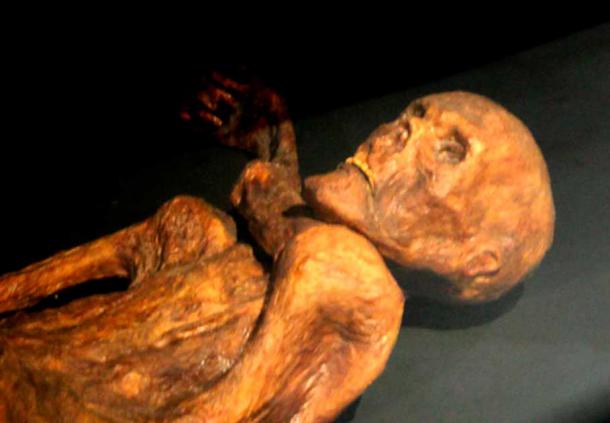 Reconstrucción del Hombre de Hielo. Museo Quinson de Prehistoria, Alpes-de-Haute-Provence, Francia. (CC POR SA 3.0)