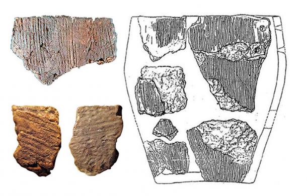 Reconstruction of Osipovka Culture vessel (right) and pot shards found at Gasya and Khummi (left). (Images: Vitaly Medvedev, Oksana Yanshina/ The Siberian Times)