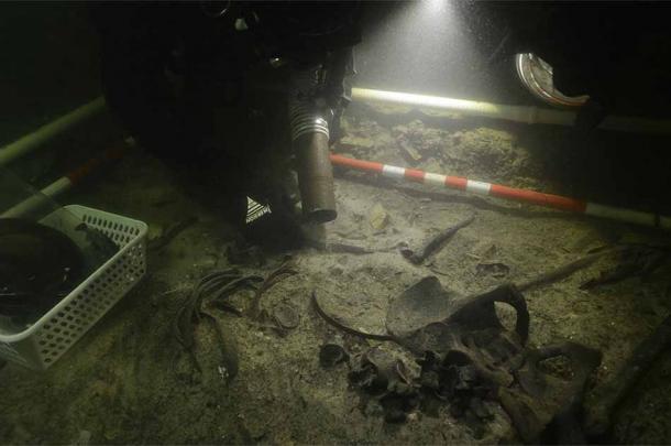 Recovering the medieval soldier’s remains from Lake Asveja. (G. Krakauskas)