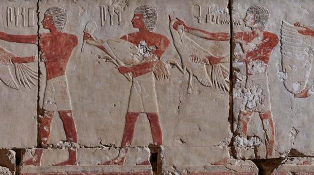 Decoración en relieve en la Capilla de Hatshepsut, detalle. La producción del relieve parece homogénea a pesar de que en su creación participaron varios escultores. (Maciej Jawornicki / Antiquity Publications Ltd.)