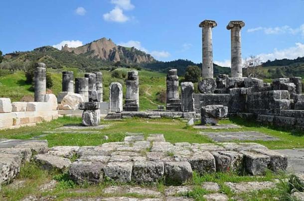 Remains of the Temple of Artemis with the acropolis visible in the background. (Carole Raddato /CC BY-SA 2.0)