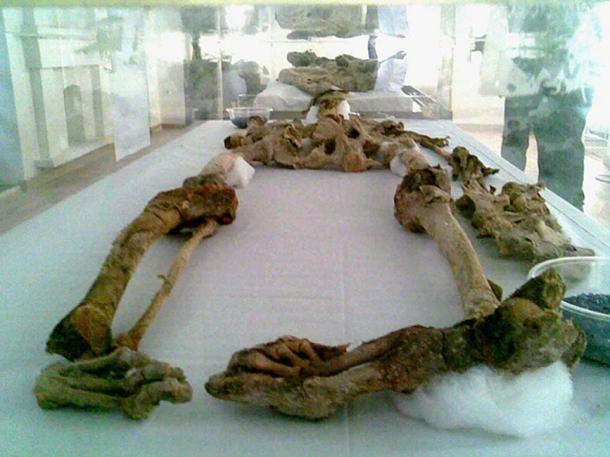 Remains of Saltman 2 on display in Zanjan. One of the Saltmen found in 2004.