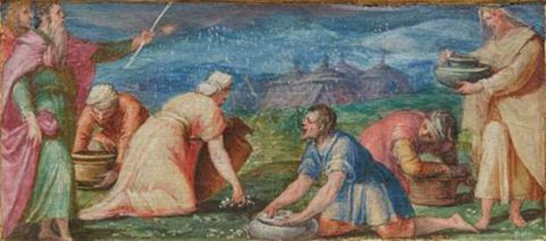 Artistas clásicos y renacentistas han representado el maná literalmente cayendo del cielo (Giovanni Battista Naldini / Public Domain)