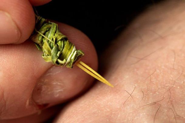 Replica of the Native American tattooing instrument. (Robert Hubner, Washington State University)