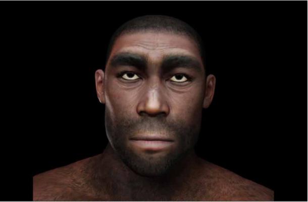 Representation of Homo erectus, who appeared very similar to Homo sapiens. (crimson / Adobe Stock)