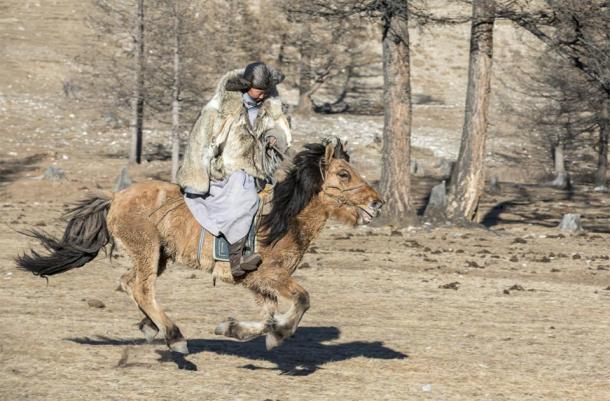Representation of a Yamnaya Culture horse rider. The peoples came to Europe from modern-day western Russia or the Ukraine. (katiekk2 / Adobe stock)