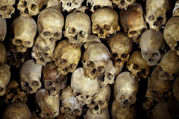 Representational image of human skulls. How many more cases have suffered similar dismissal due to their anomalistic circumstances? (CC0)