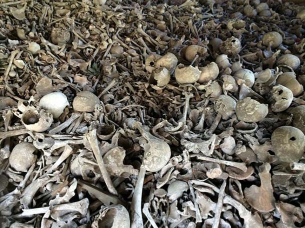 Representational image of various human bones in a pit. (CC0)