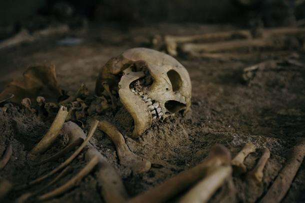 Imagen representativa de un esqueleto humano. El estudio tomó muestras de suelo debajo de las áreas pélvicas de los esqueletos para analizar los restos de gusanos parásitos. (Mulderphoto/Adobe Stock)