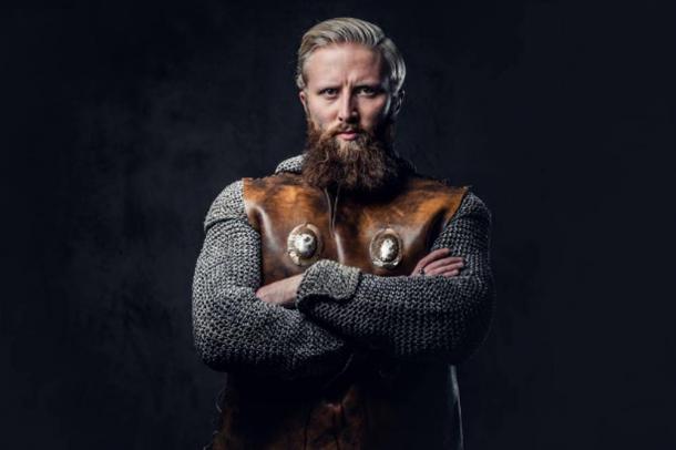 Representative image of Viking Bjorn Ironside