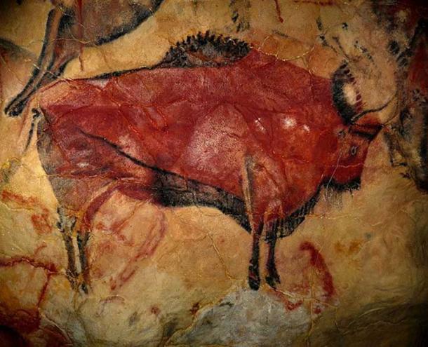 Reproduction of a bison of the cave of Altamira at the Altamira Museum and Reseasrch Center.
