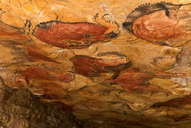 Reproduction of the cave ceiling paintings at Altamira Museum.