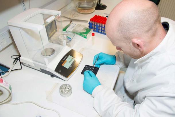 Researchers analyzed collagen collected from the remains of Neolithic pigs for an isotope analysis. (Image: Cardiff University)